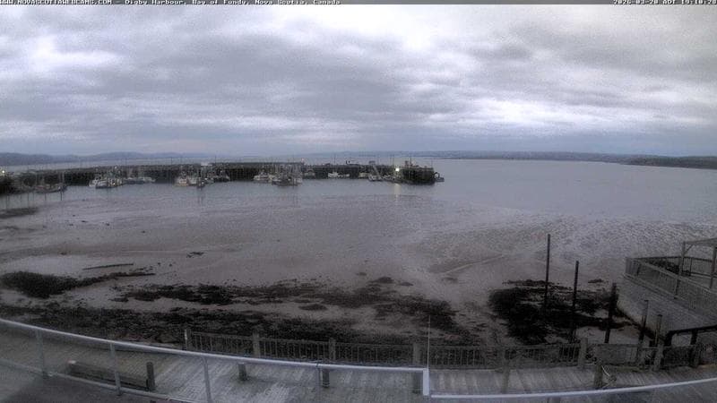Digby Harbour