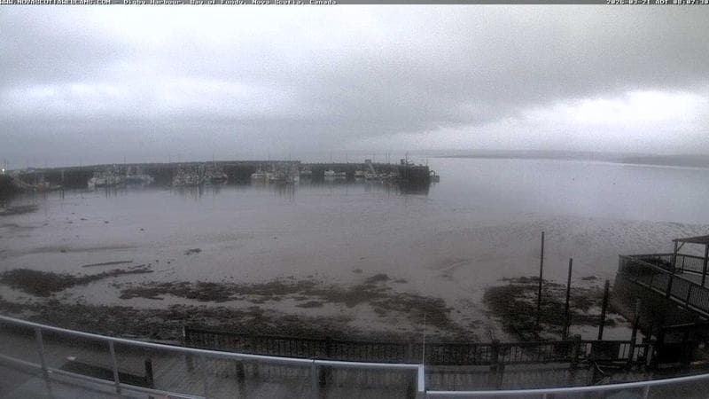 Digby Harbour