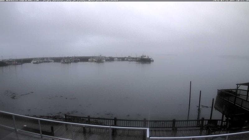 Digby Harbour