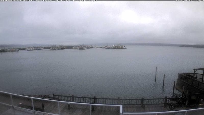 Digby Harbour