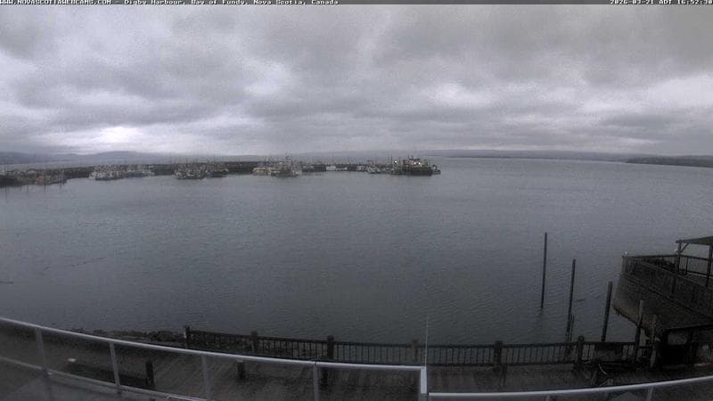 Digby Harbour
