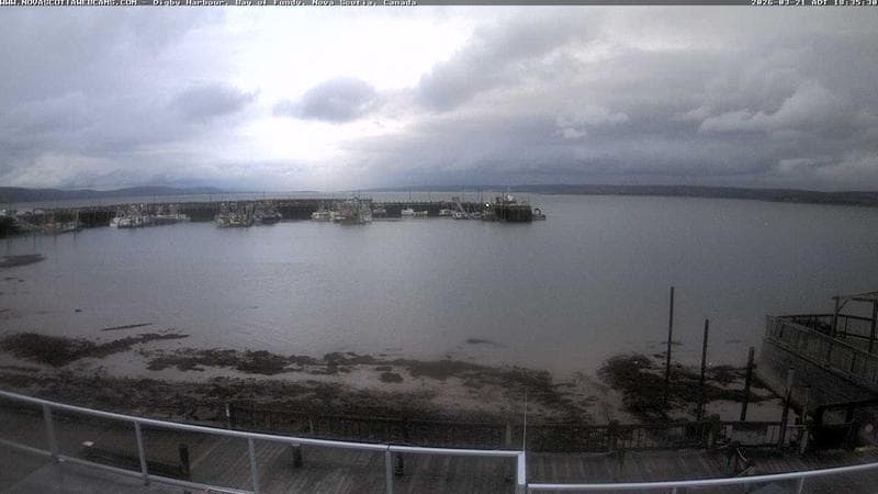 Digby Harbour