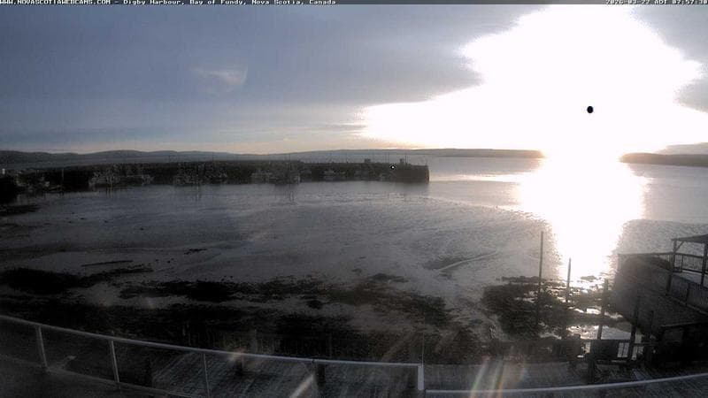 Digby Harbour