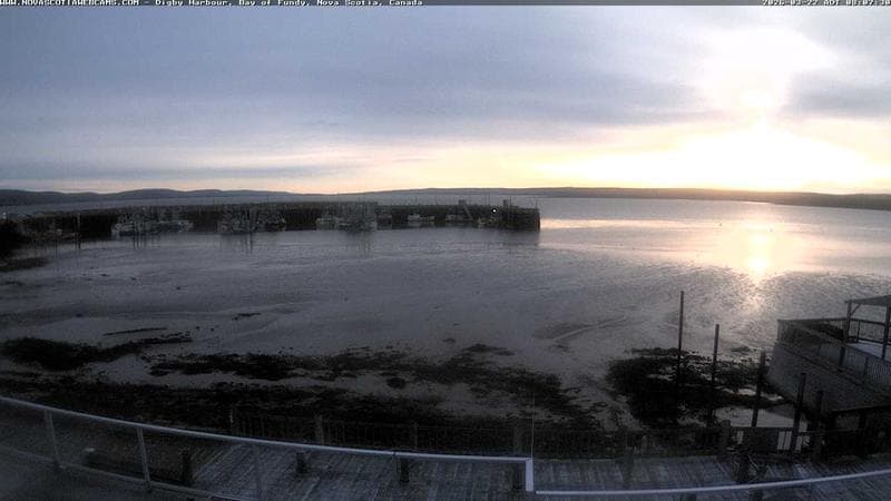 Digby Harbour