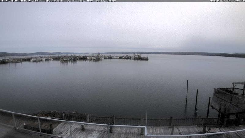 Digby Harbour