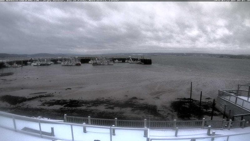Digby Harbour