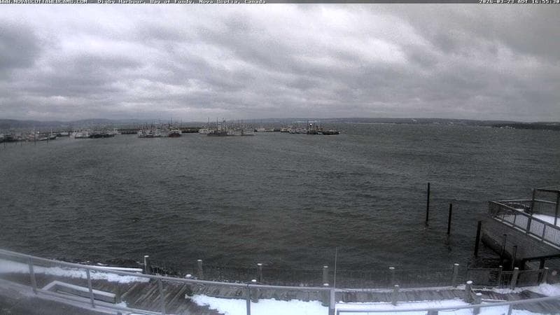 Digby Harbour
