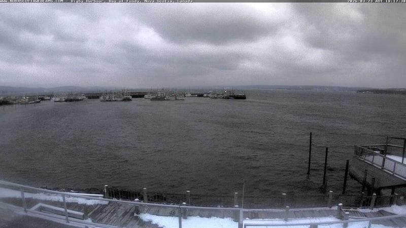 Digby Harbour