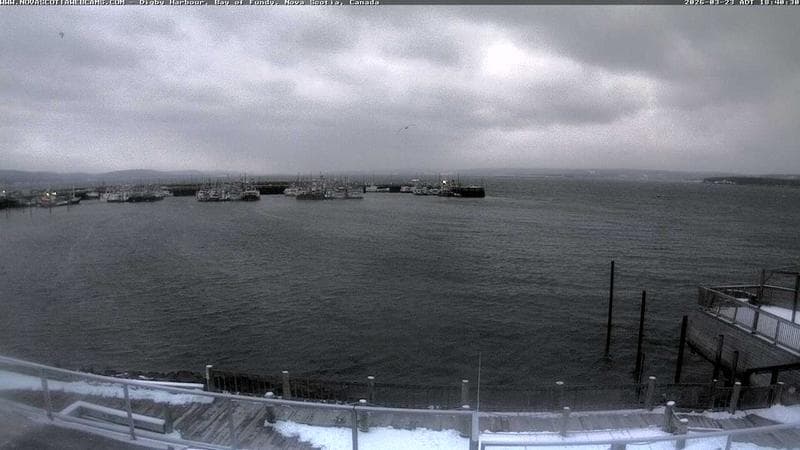 Digby Harbour