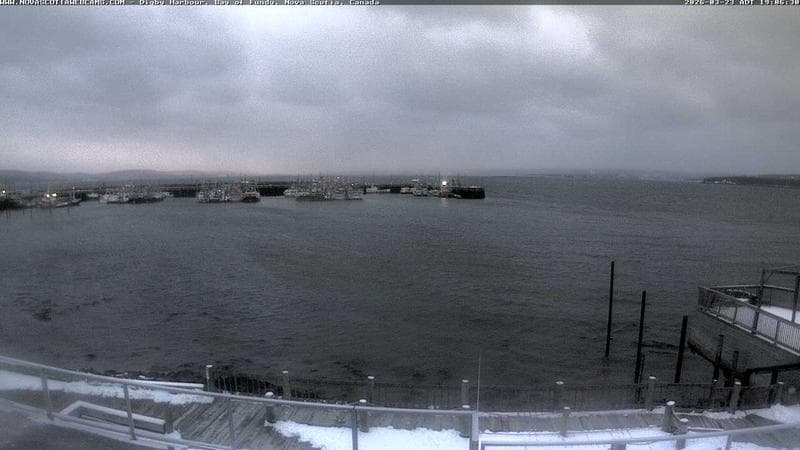 Digby Harbour