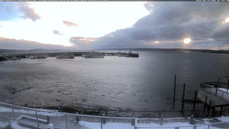 Digby Harbour