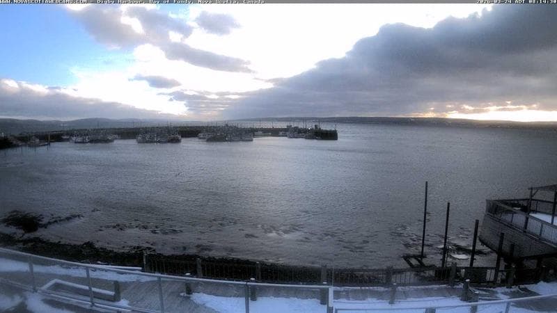 Digby Harbour