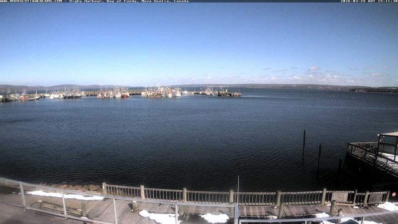 Digby Harbour