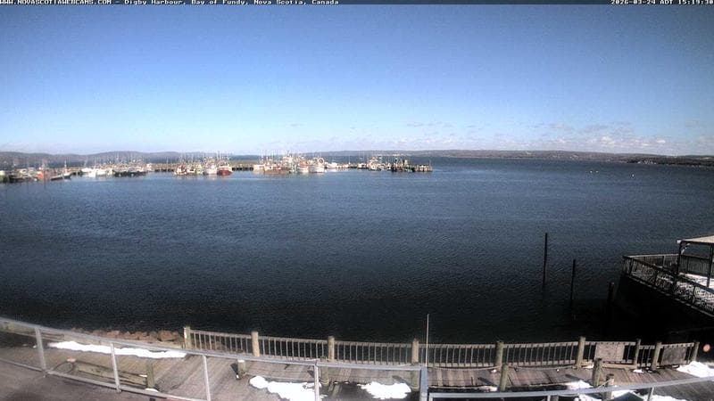 Digby Harbour