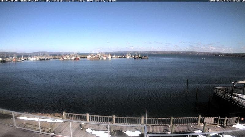 Digby Harbour