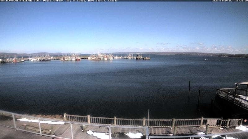 Digby Harbour