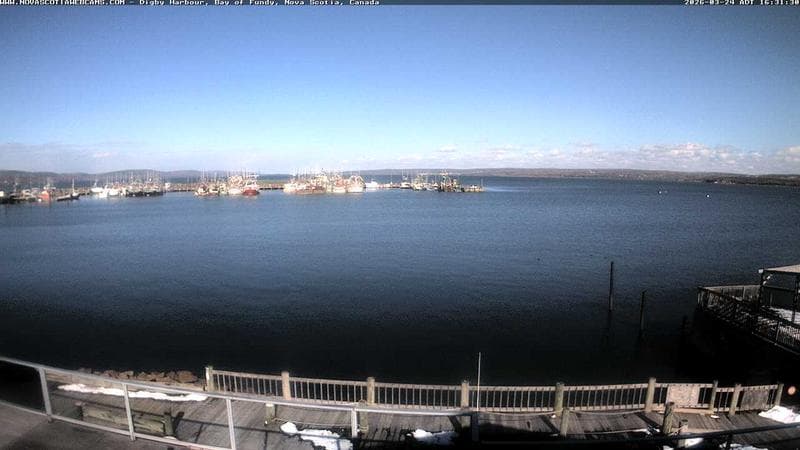 Digby Harbour