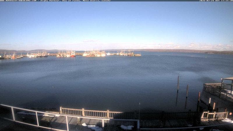 Digby Harbour