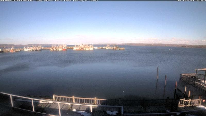 Digby Harbour