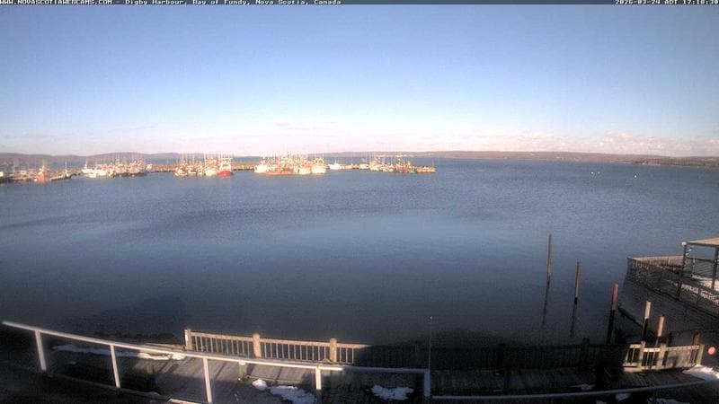 Digby Harbour