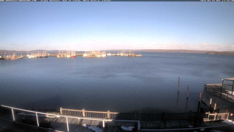 Digby Harbour