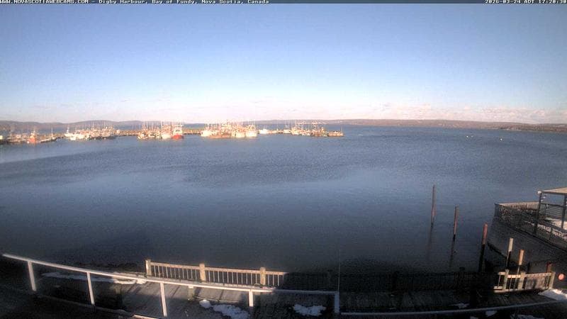 Digby Harbour