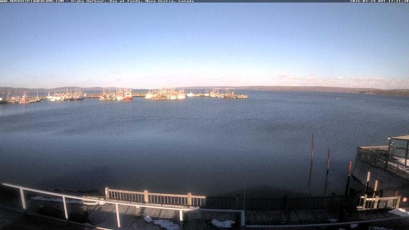 Digby Harbour