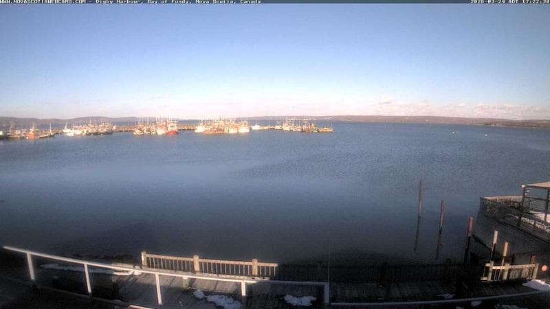 Digby Harbour