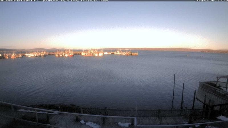 Digby Harbour