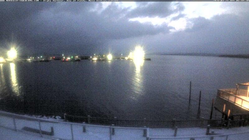 Digby Harbour