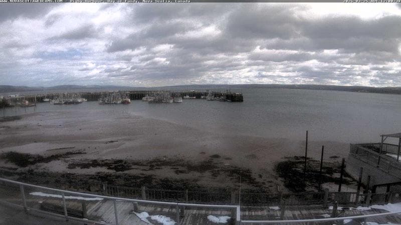 Digby Harbour