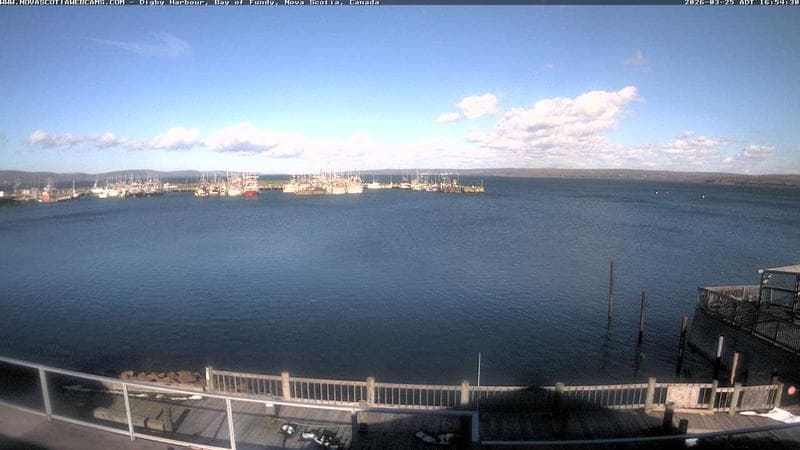 Digby Harbour