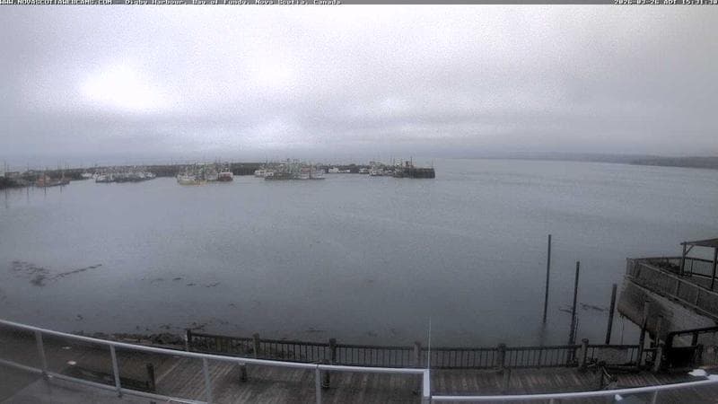 Digby Harbour