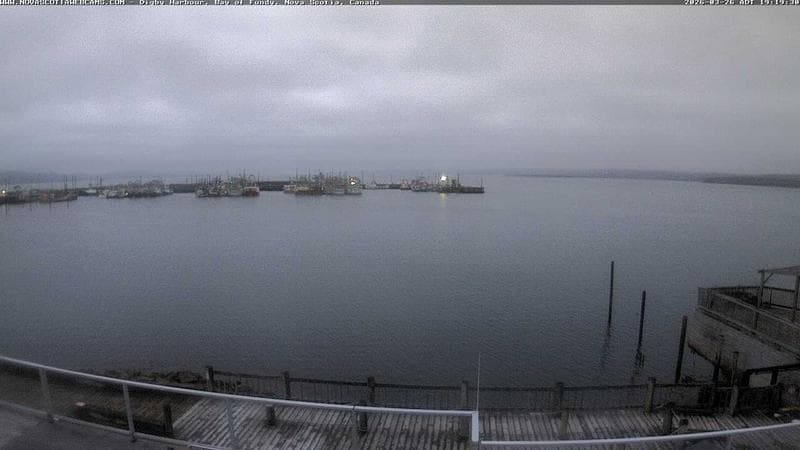 Digby Harbour