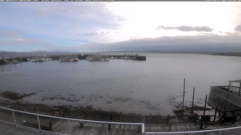 Digby Harbour