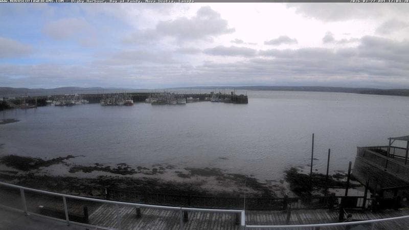 Digby Harbour