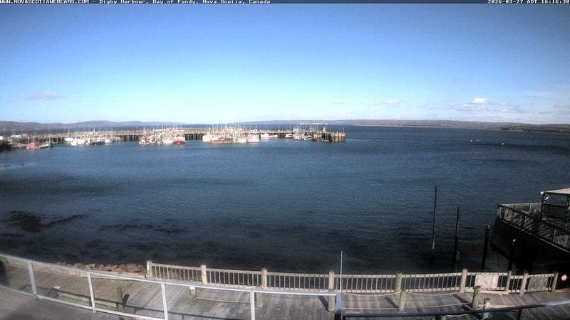 Digby Harbour