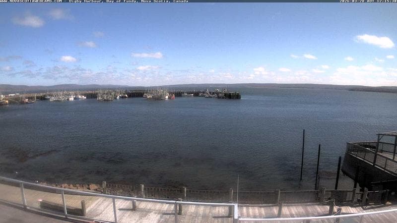 Digby Harbour