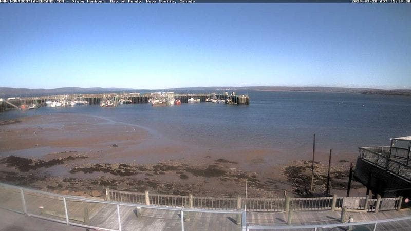 Digby Harbour