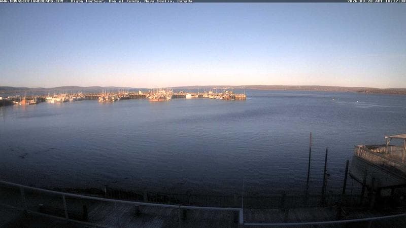 Digby Harbour