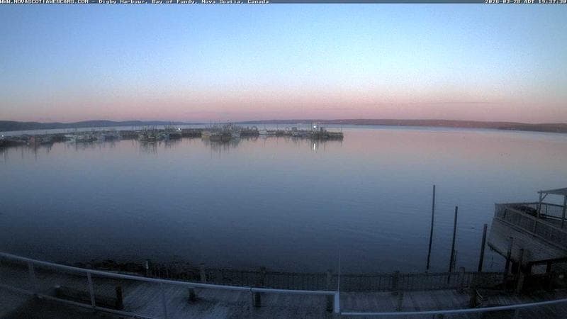 Digby Harbour