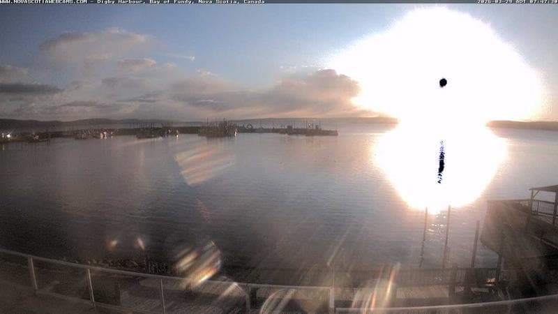 Digby Harbour