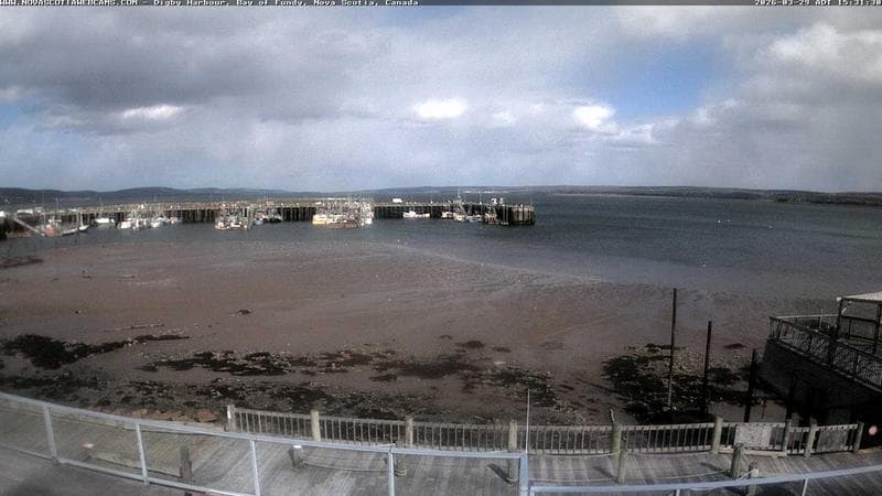 Digby Harbour