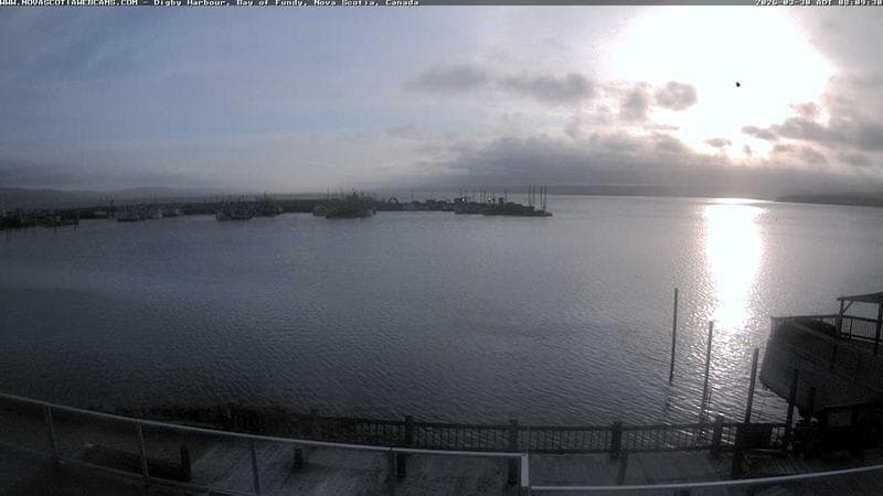 Digby Harbour