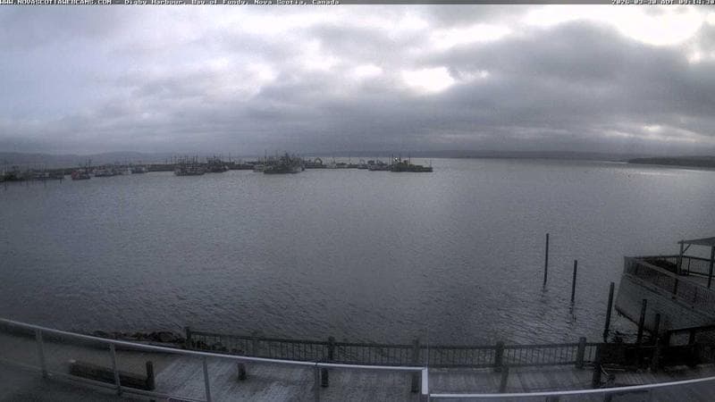 Digby Harbour