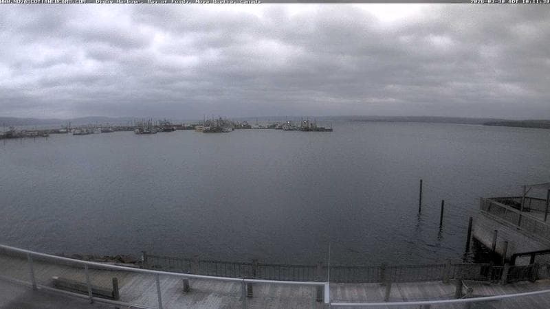 Digby Harbour