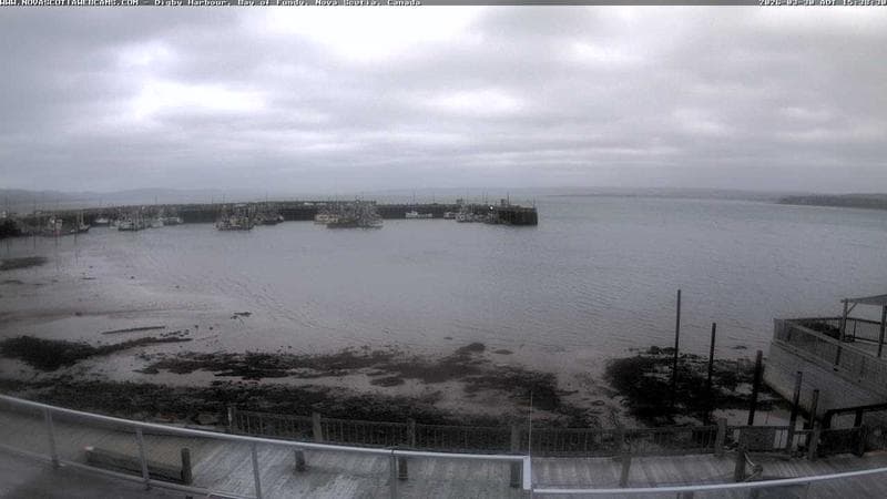 Digby Harbour