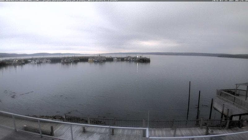 Digby Harbour