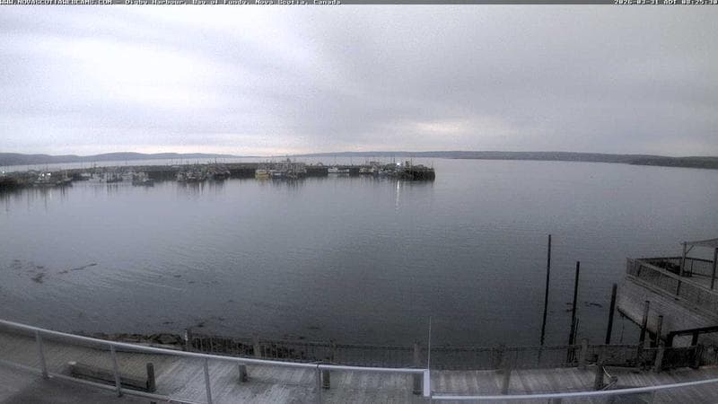 Digby Harbour