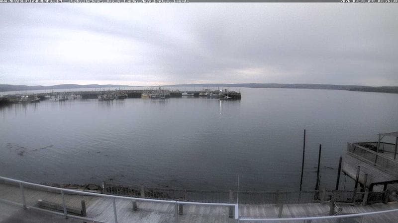 Digby Harbour